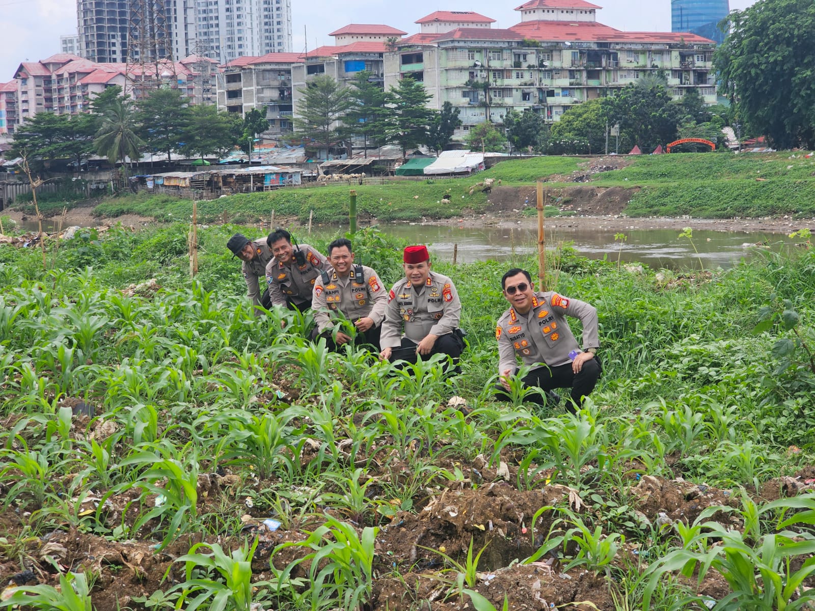 Ada Kebun Jagung di Tengah Kota Jakarta, Polri: Upaya Polri Dukung Asta Cita Presiden